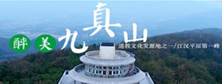 免费看骚逼区