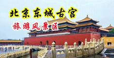 操婷婷的b爽歪歪91中国北京-东城古宫旅游风景区